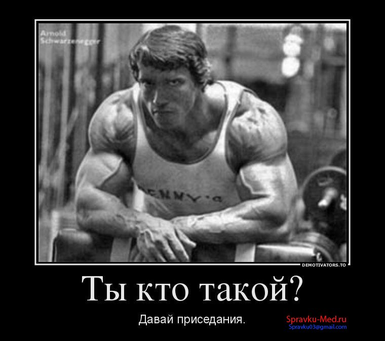 Б_Сравка освобождения от физры Б_Сравка освобождения от физры